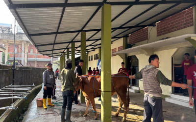 Peringatan Iduladha 1447 H, SMAN 1 Salaman Latih Siswa Kelola Hewan Kurban secara Mandiri