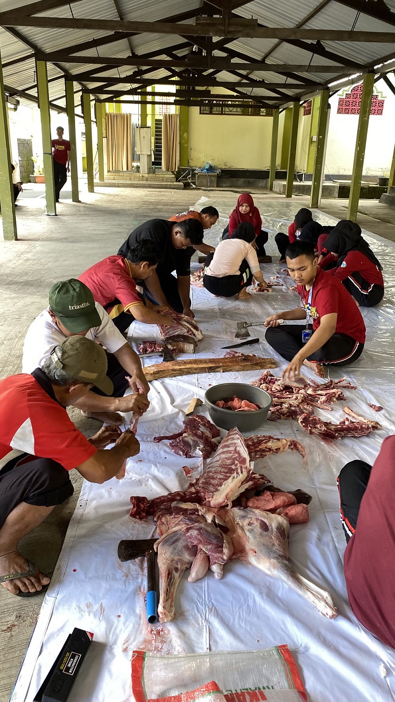 pemotongan hewan qurban